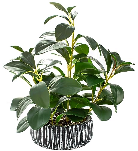 Faux Greenery for Home & Office Décor