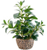 Faux Greenery for Home & Office Décor