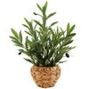 Faux Greenery for Home & Office Décor